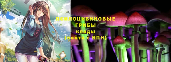 хмурый Богородицк