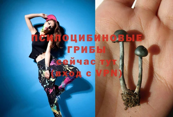 хмурый Богородицк