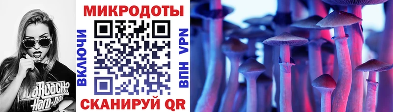 Купить где  Миасс  Галлюциногенные грибы Psilocybine cubensis 